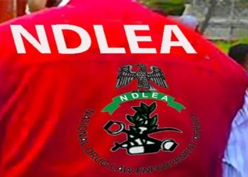 NDLEA Uncovers Suspected Drug Warehouse, Arrests Couple in Edo