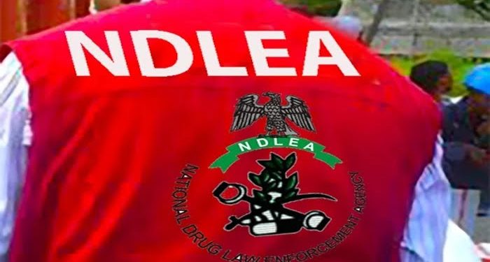 NDLEA Uncovers Suspected Drug Warehouse, Arrests Couple in Edo