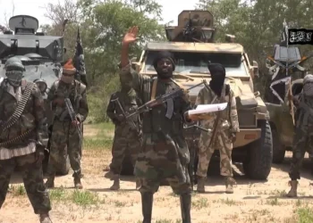 Video: Boko Haram Members Seen Relocating Families Around Lake Chad Amid Military Pressure
