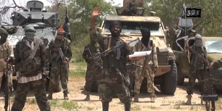 Video: Boko Haram Members Seen Relocating Families Around Lake Chad Amid Military Pressure
