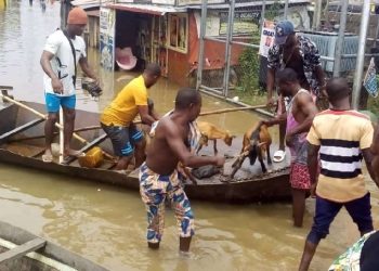 Osun Govt Moves to Address Flooding as Heavy Rain Damages Bridge
