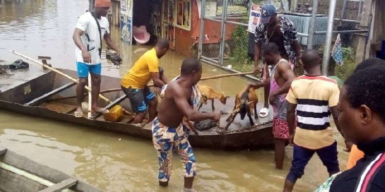 Osun Govt Moves to Address Flooding as Heavy Rain Damages Bridge