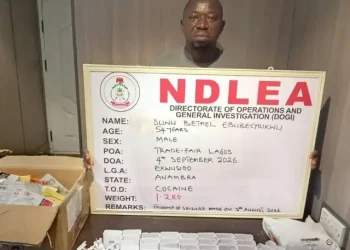 NDLEA Arrests Ex-Convict Posing as Herbal Tea Dealer, Seizes Over Two Tonnes of Cannabis