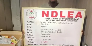 NDLEA Arrests Ex-Convict Posing as Herbal Tea Dealer, Seizes Over Two Tonnes of Cannabis