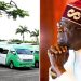 Tinubu Directs Governors to Reduce Transport Fares From October 1