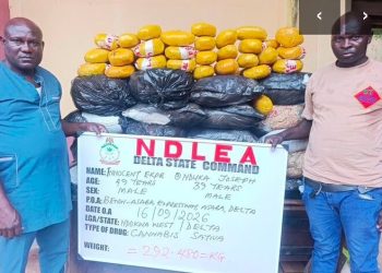 NDLEA Seizes ₦3.4bn Worth of Cannabis, Opioids, Arrests Suspects in Eight States, FCT