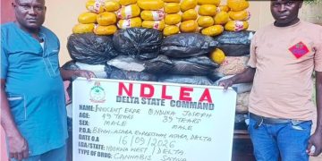 NDLEA Seizes ₦3.4bn Worth of Cannabis, Opioids, Arrests Suspects in Eight States, FCT