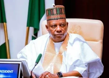 Shettima Tells 36 Governors to Fix Electricity Problems Without Waiting for FG