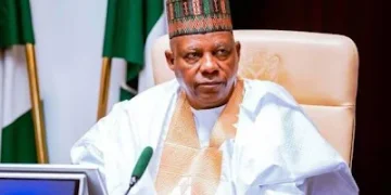Shettima Tells 36 Governors to Fix Electricity Problems Without Waiting for FG