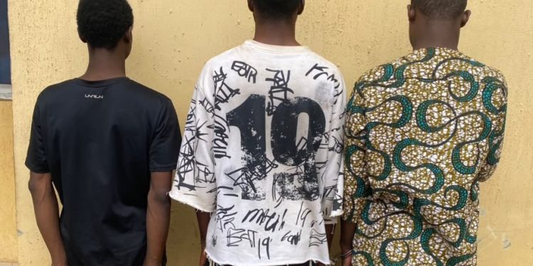 Police arrest three male suspects over alleged homosexual act in Oyo
