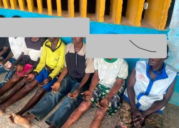 Osun Police Arrest Six Suspected Cultists in Crackdown on Criminal Hideouts