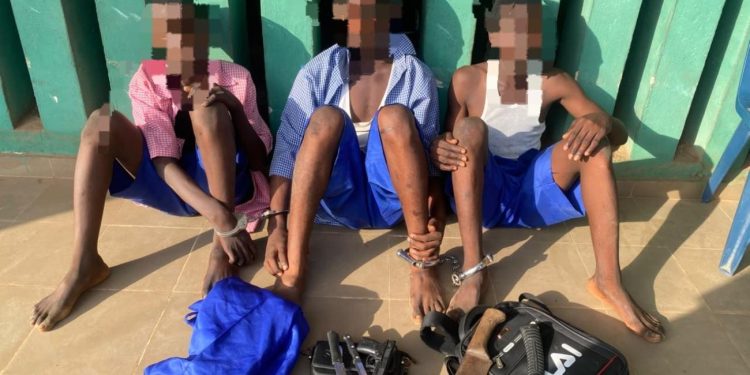 12-Year-Old Among Three Students Arrested Over Suspected Cult Initiation in Ogun