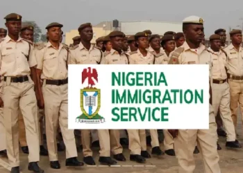 Gunmen Kill Immigration Officer, Injure Colleague in Niger State