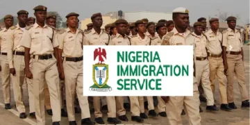 Gunmen Kill Immigration Officer, Injure Colleague in Niger State